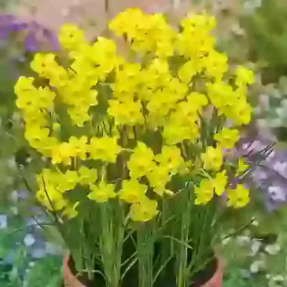 More and More